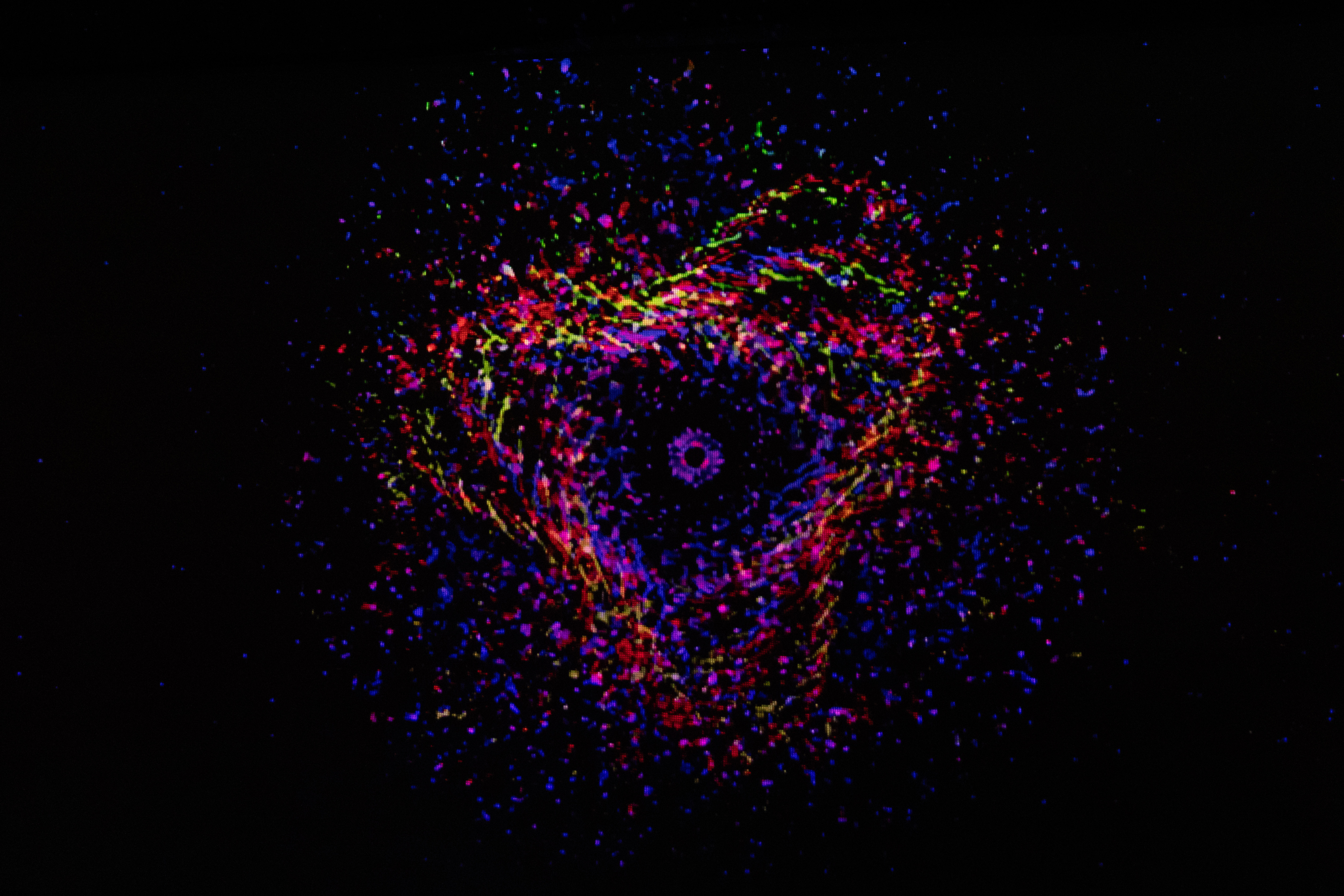colorful particles